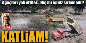 Erzurum'da ağaç Katliamı!