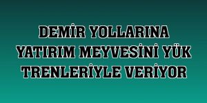 Demir yollarına yatırım meyvesini yük trenleriyle veriyor