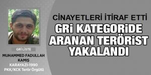"Yakalanan terörist belediye meclis üyesi ile yeğenini öldürdüğünü itiraf etti"