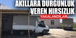 Erzurum'da Çalıştığı iş yerinden 100 bin liralık peynir çaldı