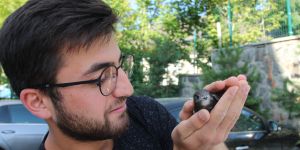 Yerde bulduğu Ebabil kuşuna sahip çıktı