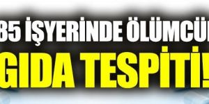 85 iş yerinde ölümcül gıda tespiti!
