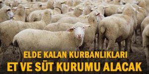 Et ve Süt Kurumu, elde kalan kurbanlıkları satın alacak