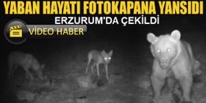 Erzurum'da böyle görüntülendiler