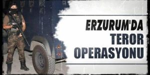 14 şüpheli gözaltına alındı