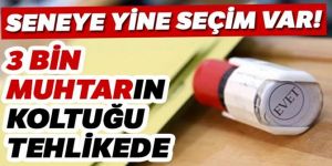 Binlerce muhtar için yeniden sandık