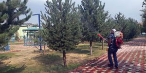 Aziziye’de haşerelere geçit yok