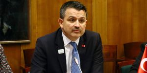 Rusya'nın yangın söndürme uçakları Türkiye'nin radarında