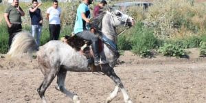 Atlı Cirit yükselme grubu maçları Sivas’ta