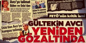 Gültekin Avcı yeniden gözaltında