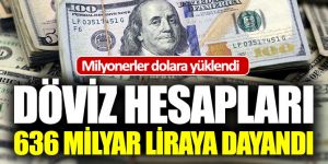 Türkiye’deki milyonerler dolara yüklendi