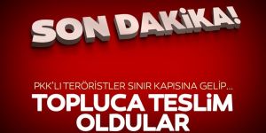 4'ü kadın 6 PKK'lı terörist teslim oldu