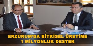 Erzurum’da bitkisel üretime 1 milyonluk destek
