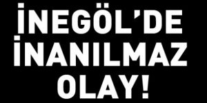 Tırtıllar ormanı kuruttu! Korkunç şüphe!