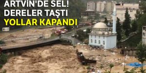 Artvin'in Borçka ilçesinde sel
