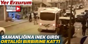 Samanlığına inek giren şahıs cinnet geçirdi