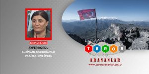 PKK'nın kadın yapılanması sorumlusuna nokta atışı