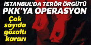 PKK'ya operasyon: 22 gözaltı