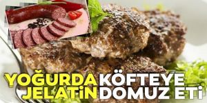 Yoğurda jelatin köfteye domuz eti