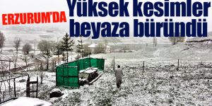 Erzurum’un yüksek kesimlerinde kar yağışı etkili oldu