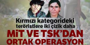 Kırmızı kategoride aranan 2 terörist etkisiz hale getirildi
