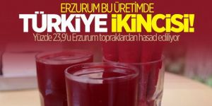 Erzurum şalgam üretiminde Türkiye ikincisi oldu