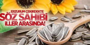 Erzurum çerezlik ay çekirdeğinde söz sahibi iller arasında