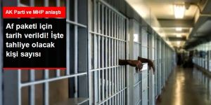 Af paketi, AK Parti ile MHP'nin ortak teklifi olarak TBMM'ye sunulacak
