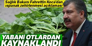 Sağlık Bakanı Fahrettin Koca'dan ıspanak zehirlenmesi açıklaması