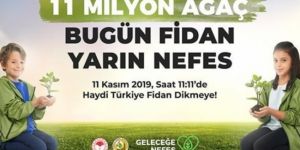 Türkiye dünya rekoruna koşuyor! 11 Kasım'da ülke genelinde başlatılacak