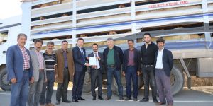Erzurum’dan Katar’a küçükbaş hayvan ihracatı