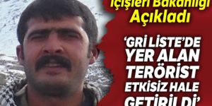 Gri Liste'de aranan terörist etkisiz hale getirildi