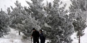 Doğu Anadolu’da soğuk hava: Göle - 14