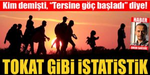 Tokat gibi istatistik