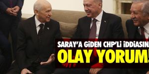 Bahçeli'den "Saray'a giden CHP'li" iddiasına olay yorum