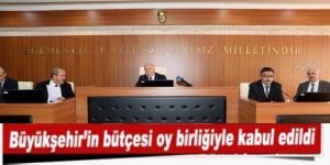 Büyükşehir’in bütçesi oy birliğiyle kabul edildi