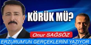 Erzurum'un Milletvekili bakın ne istedi!