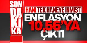 Kasım ayı enflasyon verileri açıklandı