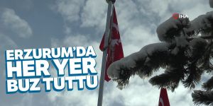 Erzurum’da süs havuzları buz tuttu
