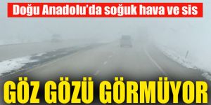 Erzurum ve Iğdır'da yoğun sis etkili oldu
