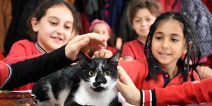 Minik öğrencilerin okulu sahipsiz 'Kartal'a yuva oldu