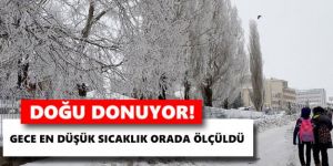 Doğu Anadolu'da gece en düşük sıcaklık Ardahan'da ölçüldü