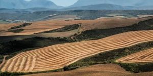 Tarım arazileri ve 2B taşınmazlarının satış başvuruları için son 5 gün