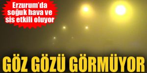 Erzurum’da sis ulaşımı aksatıyor