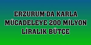 Erzurum'da karla mücadeleye 200 milyon liralık bütçe