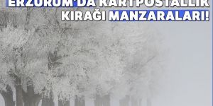 Erzurum'da kırağı sonrası görsel şölen