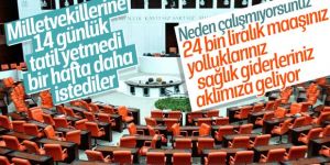 Milletvekilleri yine tatil yapmak istiyor