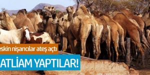 Keskin nişancılar ateş açarak katliam yaptılar!