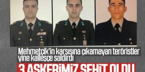 Barış Pınarı Harekat Bölgesi'nde 3 asker şehit oldu