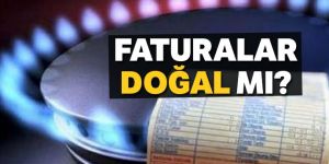 Fiyat yüksek fatura doğal